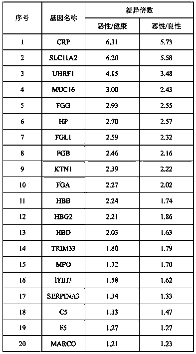 Specific protein marker for ovarian cancer diagnosis and preparation method of protein marker