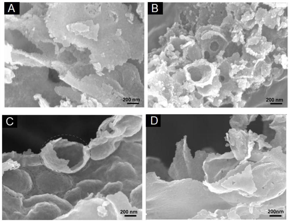 A magnetic iron-based polyatomic coupling self-assembled two-dimensional nanosheet catalyst and its preparation method and application