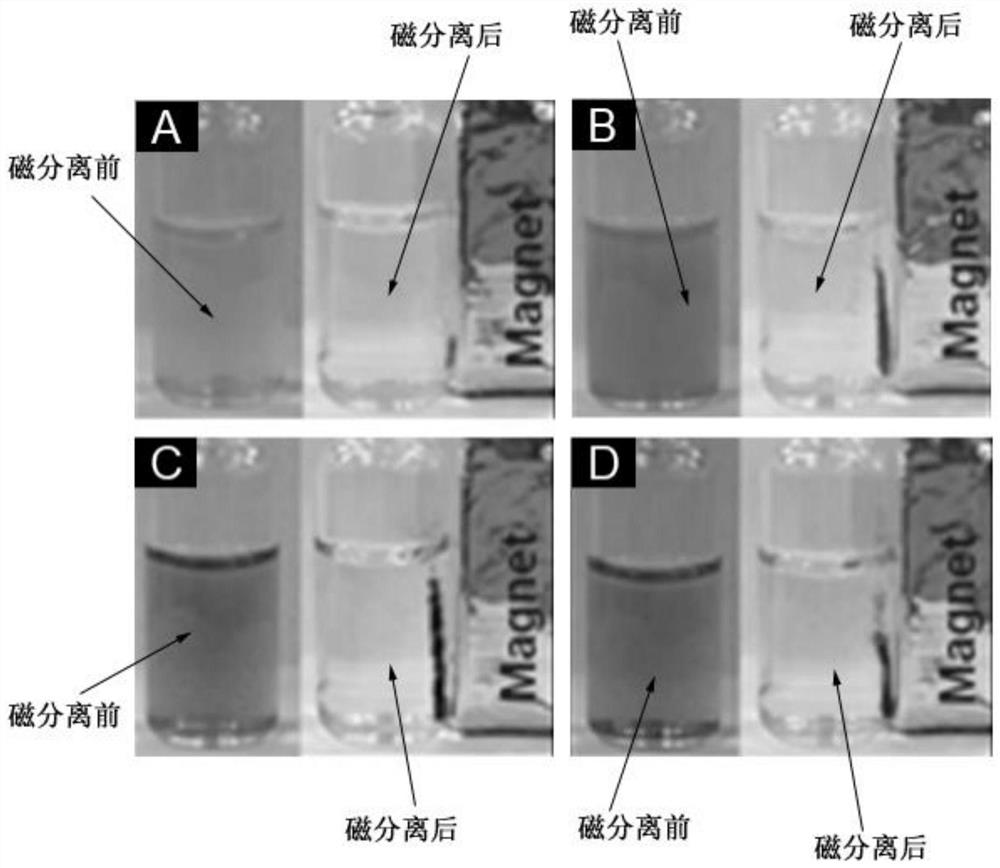 A magnetic iron-based polyatomic coupling self-assembled two-dimensional nanosheet catalyst and its preparation method and application