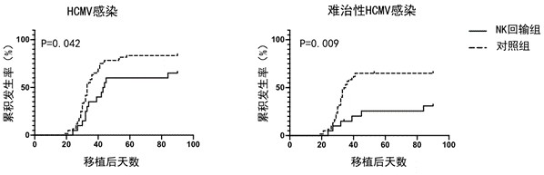 Application of NK (Natural Killer) cells, NK cell reinfusion preparation and combined preparation