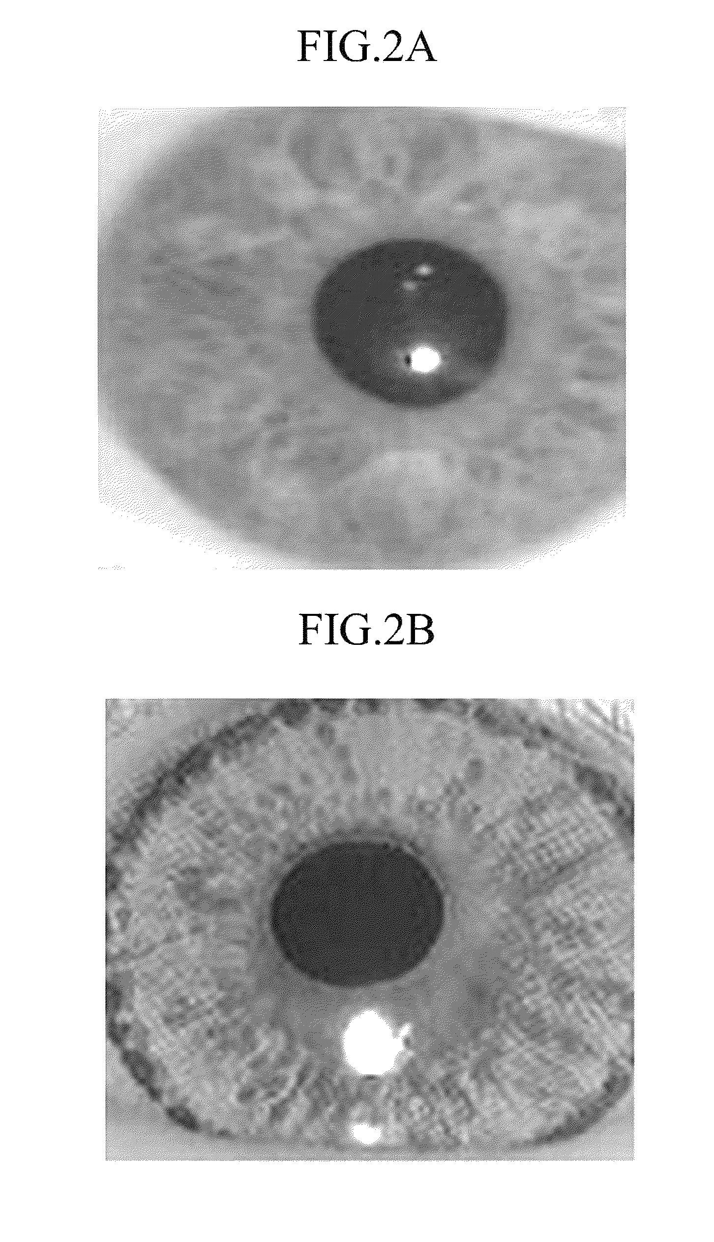 Apparatus and method for identifying fake face