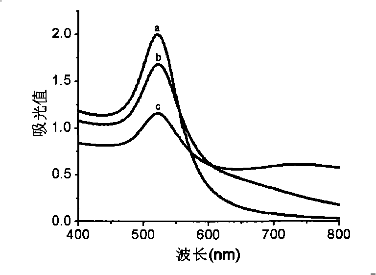 Method for detecting DNA mutation by nanometer gold