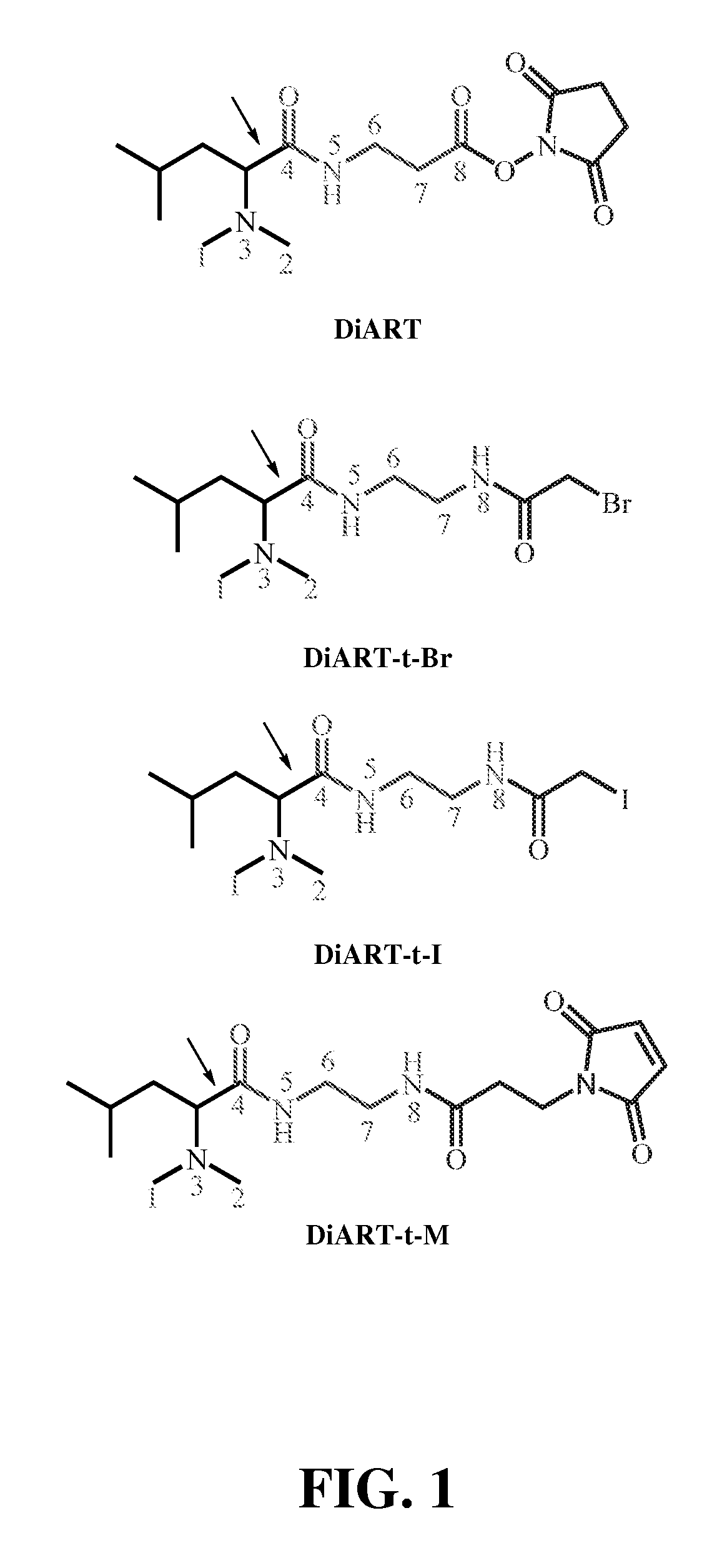 Deuterium isobaric tag reagents for quantitative analysis