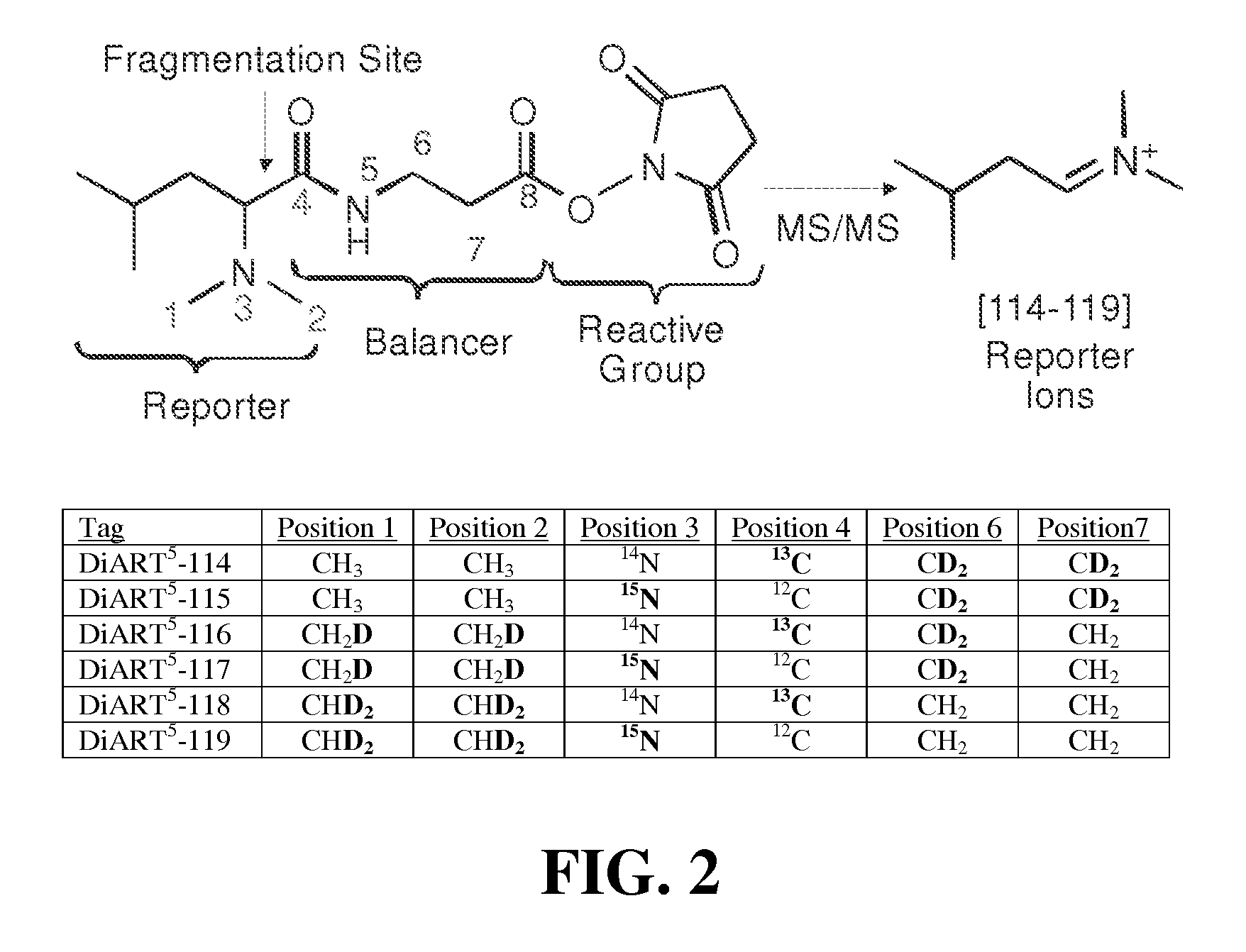 Deuterium isobaric tag reagents for quantitative analysis