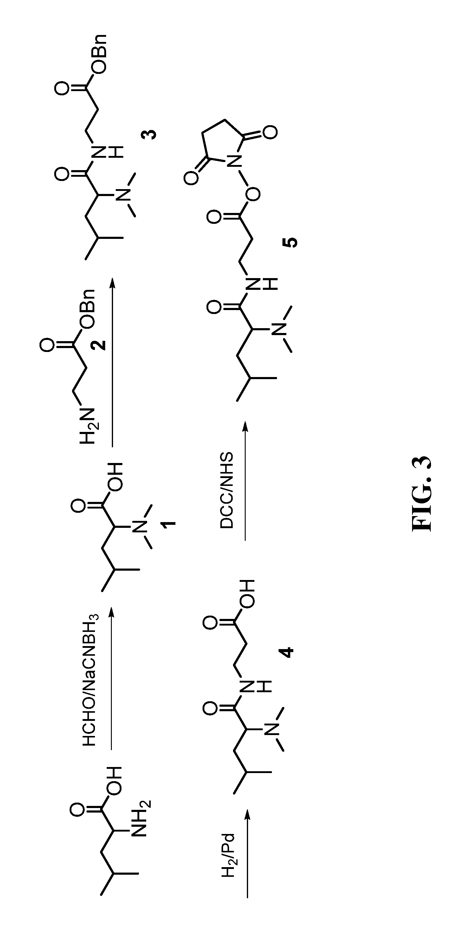 Deuterium isobaric tag reagents for quantitative analysis