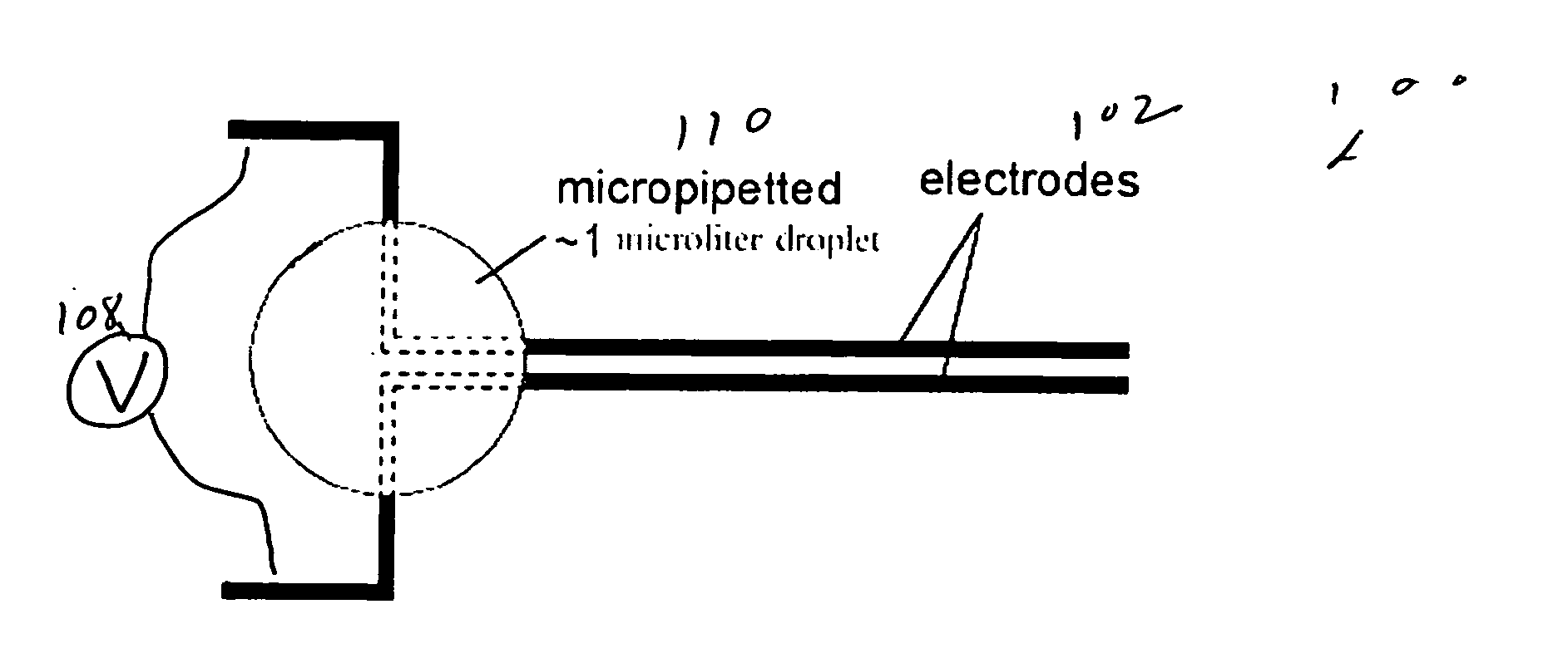 Rapid flow fractionation of particles combining liquid and particulate dielectrophoresis