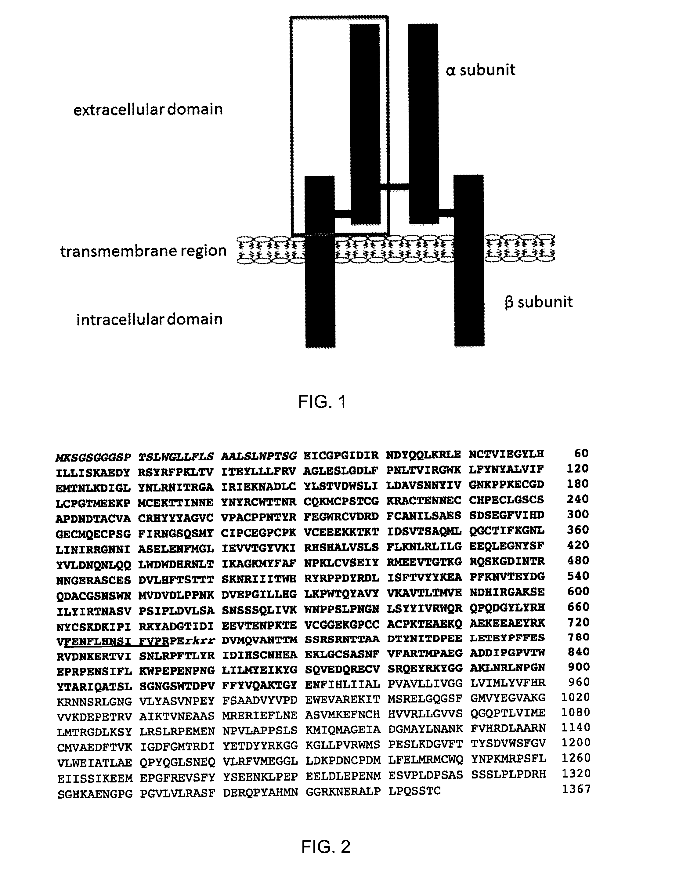 Insulin-like growth factor 1 receptor -specific antibodies and uses thereof