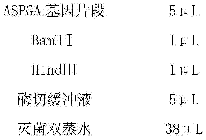 Novel beta-lactam antibiotic synthetase production method