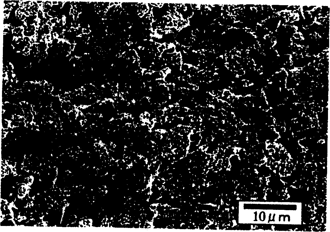 R-Fe-B porous magnet and method for producing the same