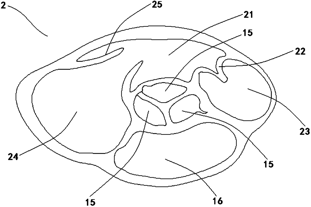 Cardiac ultrasound training model