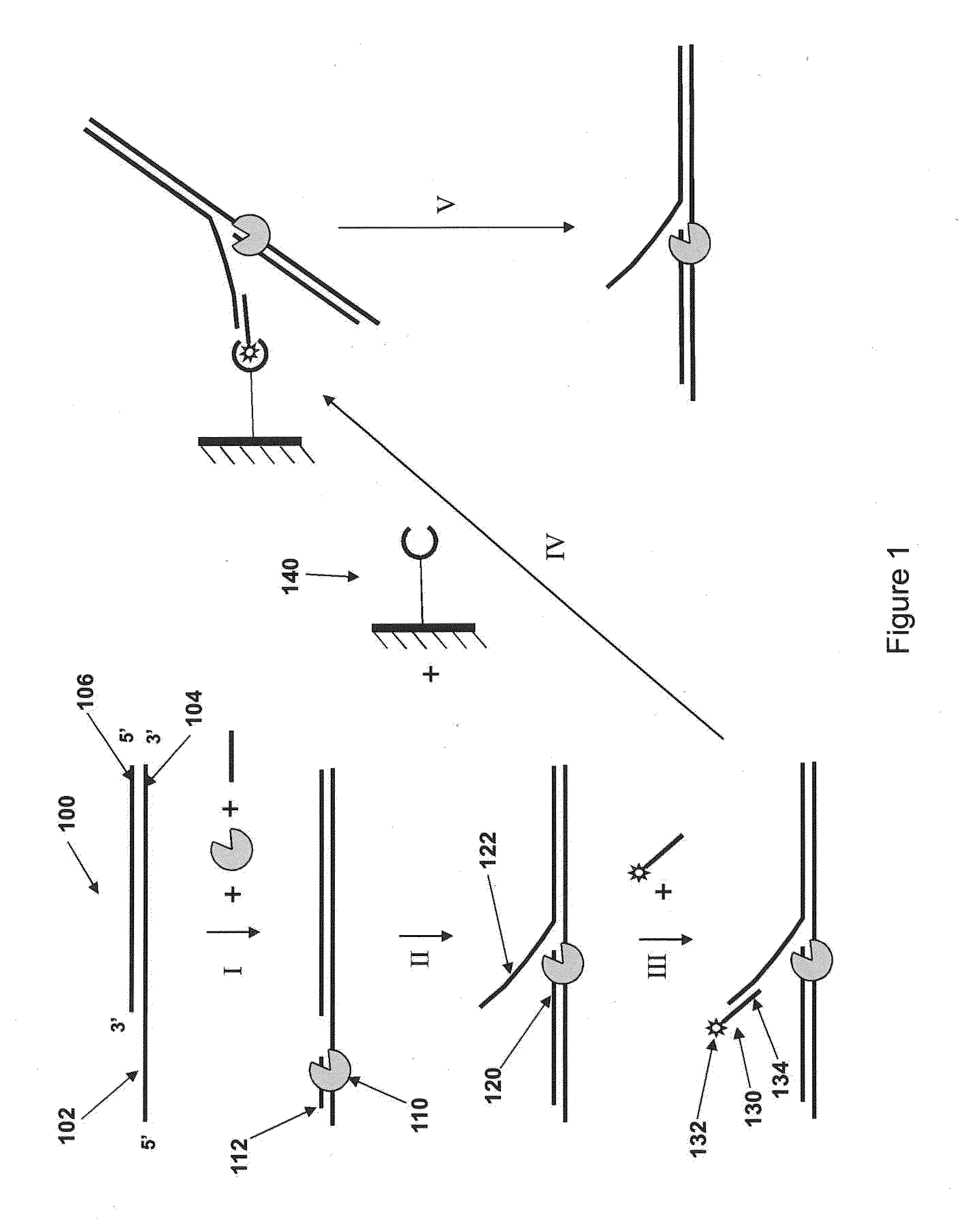 Loading molecules onto substrates