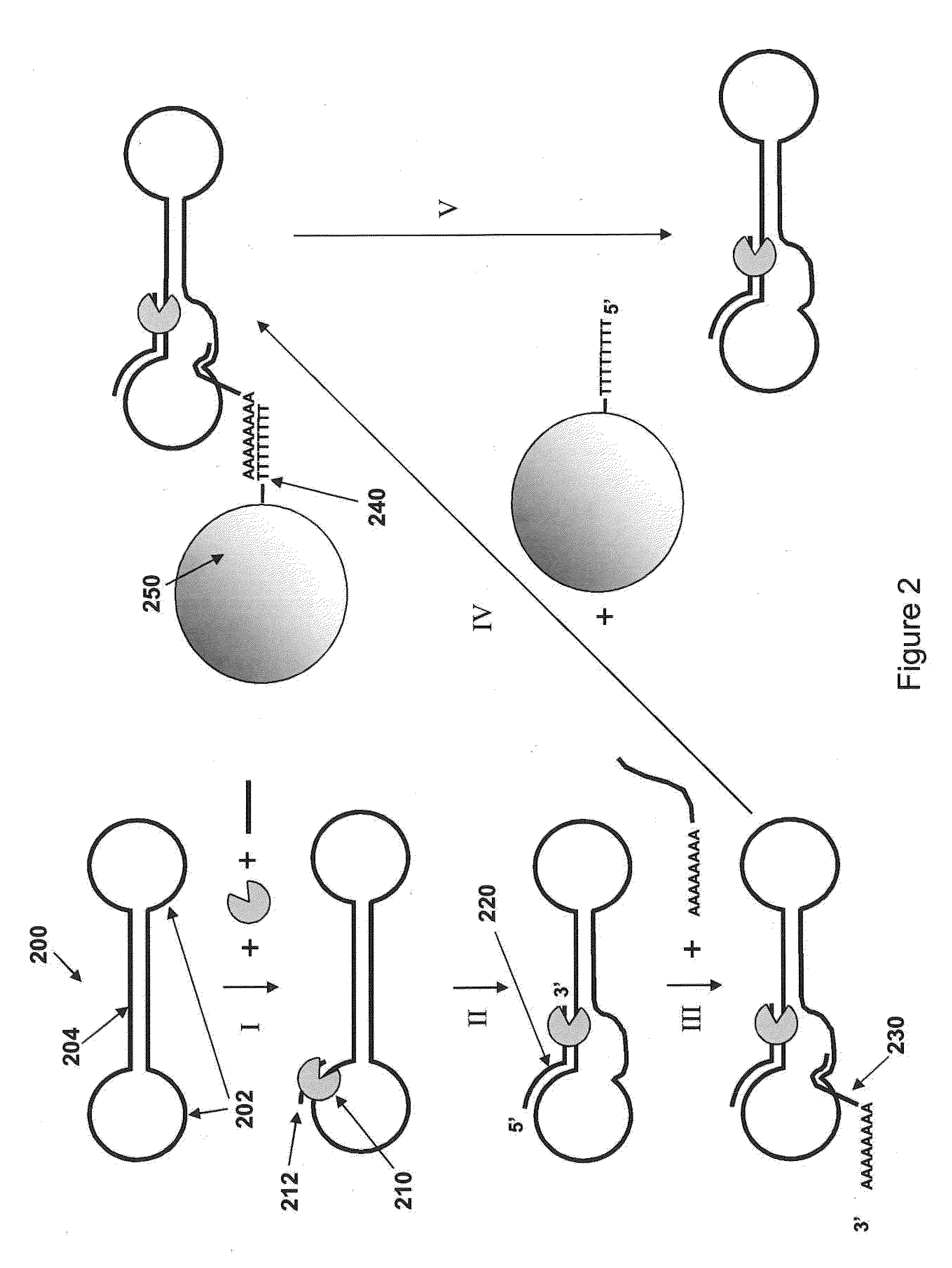 Loading molecules onto substrates