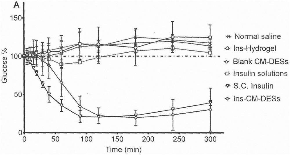 Penetration enhancer for nasal delivery and application thereof