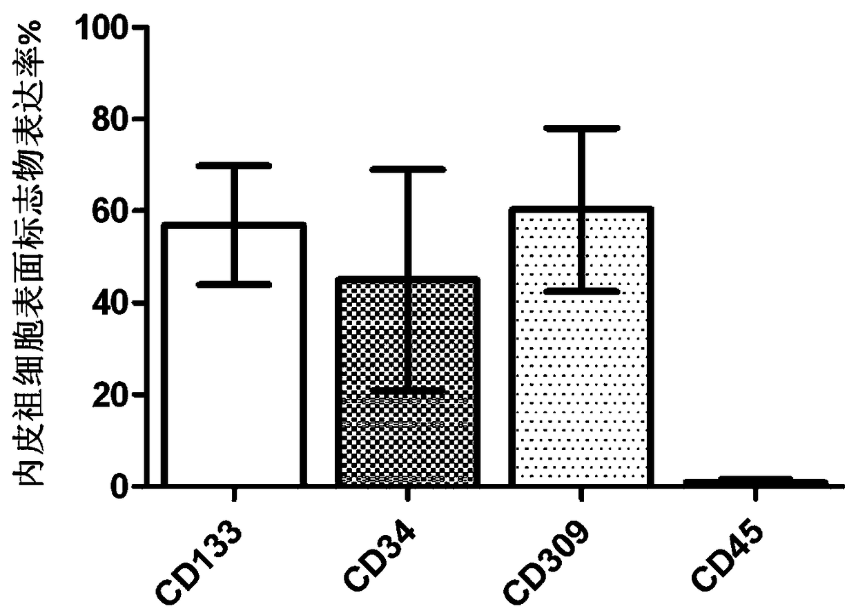 Isolated culture method for human endometrial tissue-derived endothelial progenitor cell