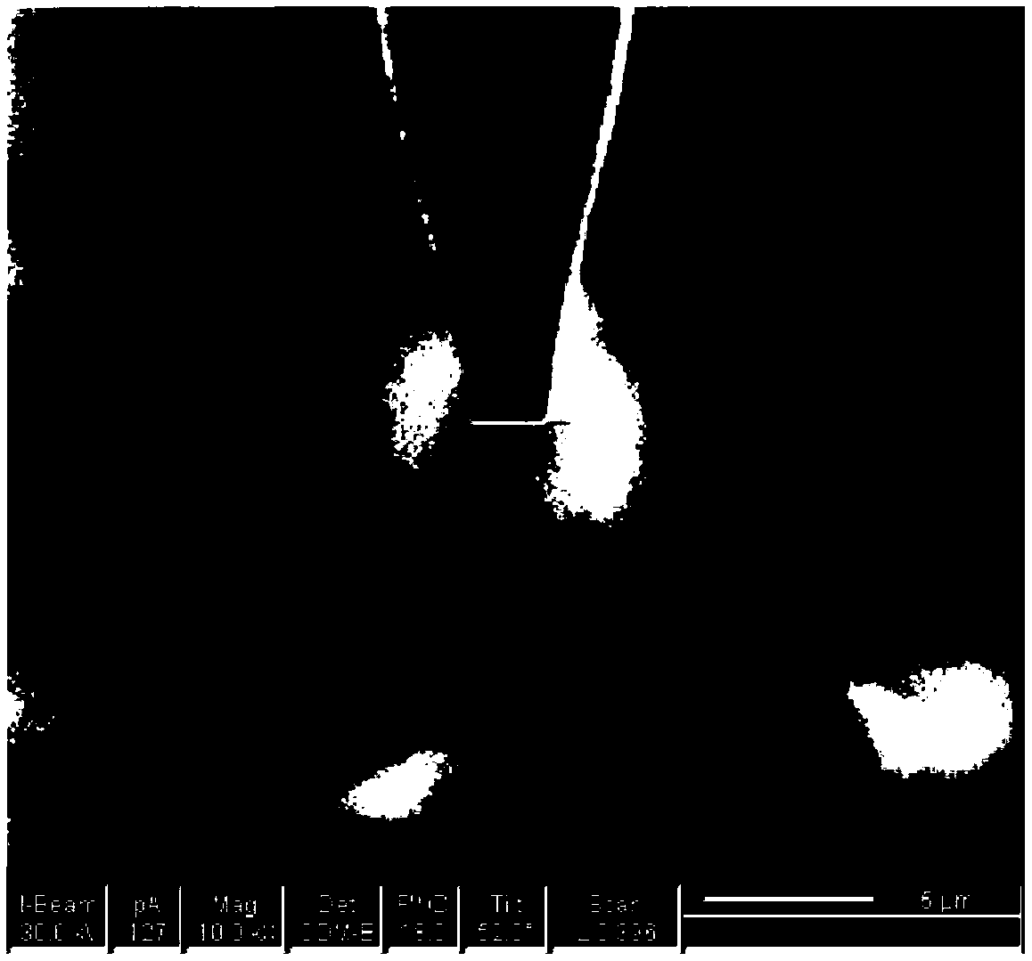 Preparation method of a gold disc submicron electrode with controllable geometry