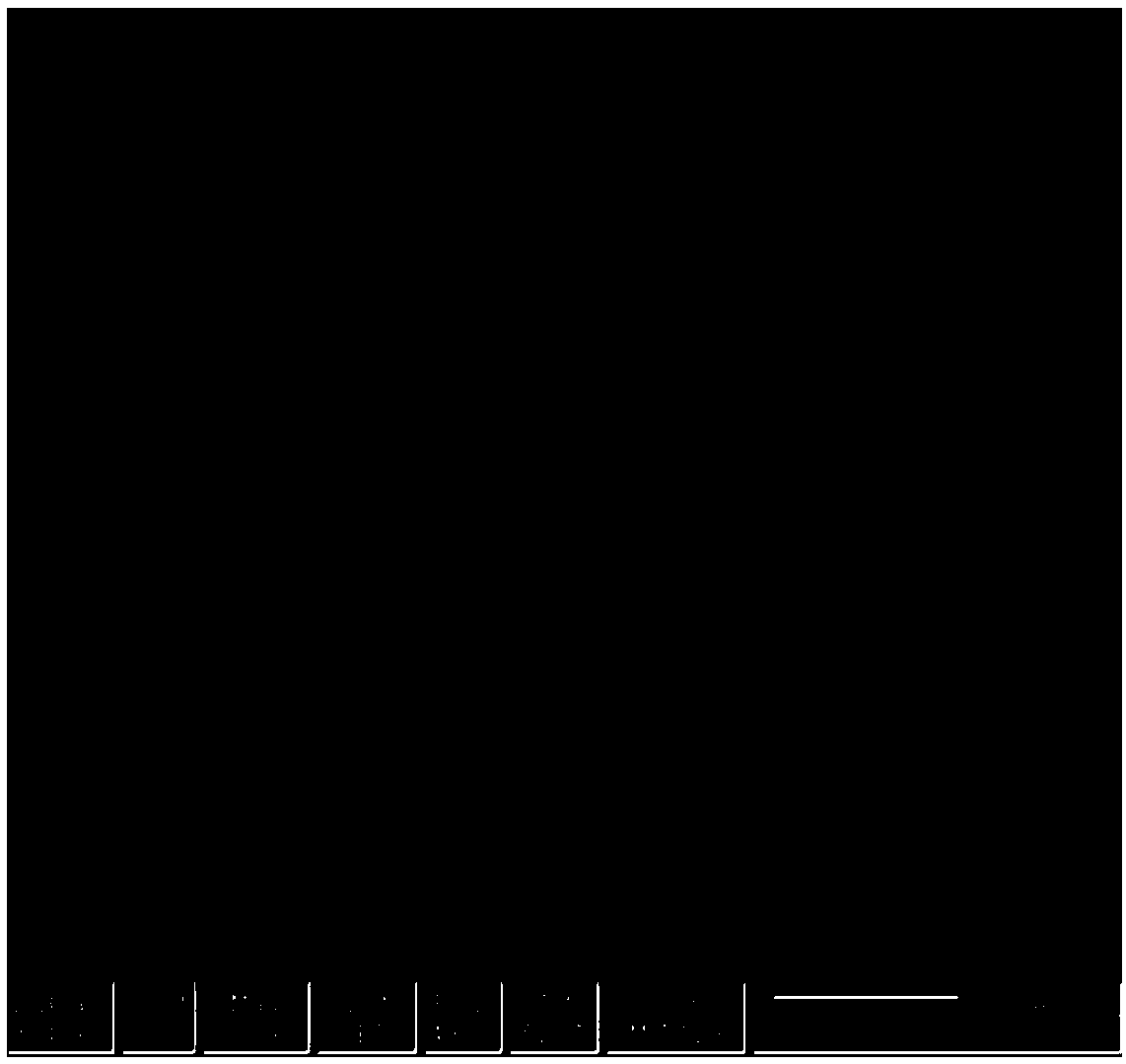 Preparation method of a gold disc submicron electrode with controllable geometry