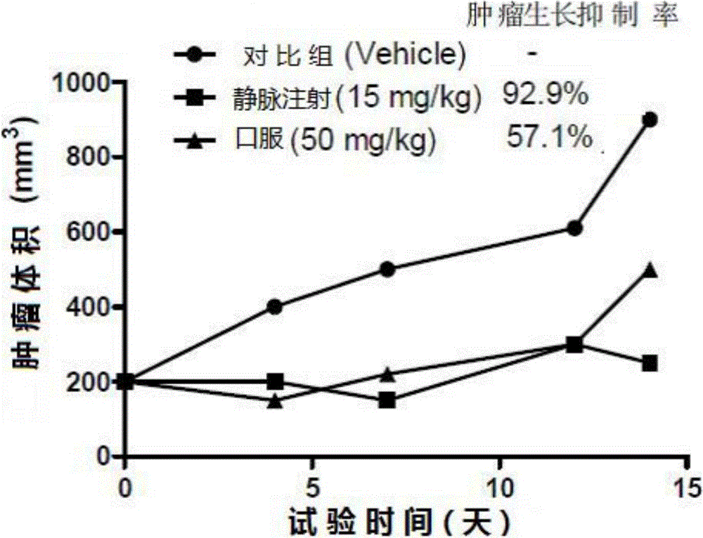 Imidazopyridine compound and preparation method and application thereof