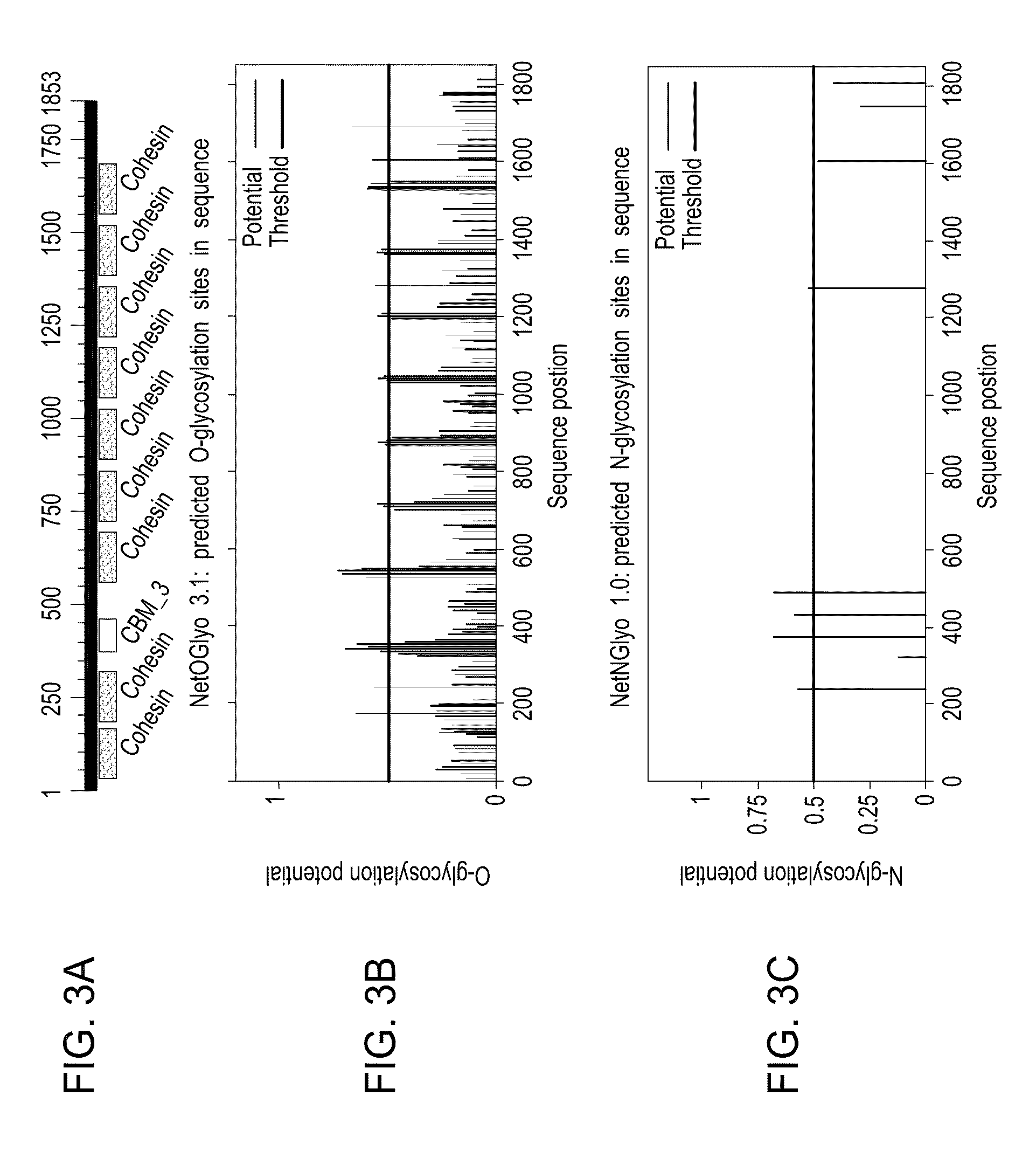 Dendritic cell-specific antibody conjugate comprising anti-CD40 monoclonal antibodies conjugated to HIV-1 Gag/Nef