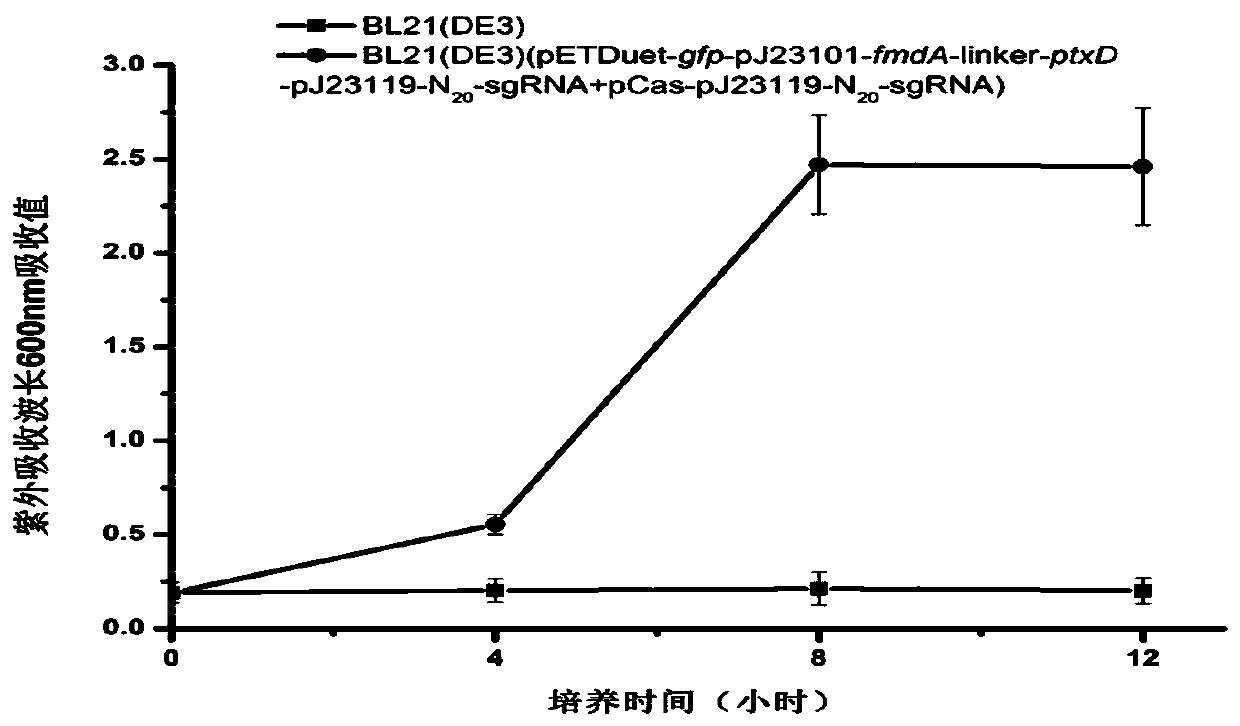 Enhanced escherichia coli capable of resisting sundry fungus pollution and bacteriophage infection, and construction method and application of enhanced escherichia coli