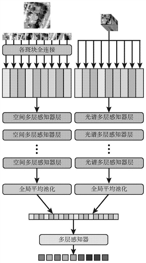 Hyperspectral image classification method and device combined with spectral space multi-layer perceptron