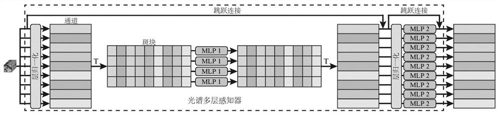 Hyperspectral image classification method and device combined with spectral space multi-layer perceptron