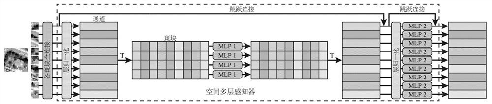 Hyperspectral image classification method and device combined with spectral space multi-layer perceptron