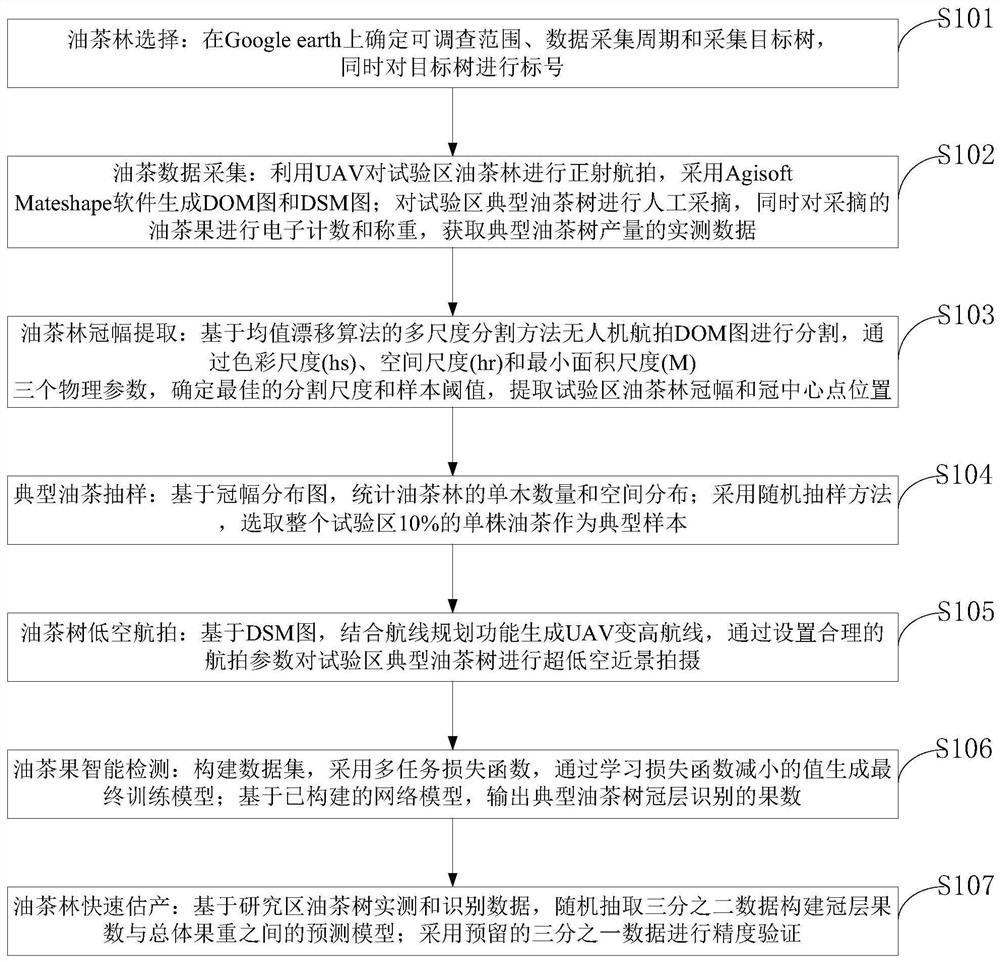 Large-area camellia oleifera forest rapid yield estimation method based on unmanned aerial vehicle remote sensing