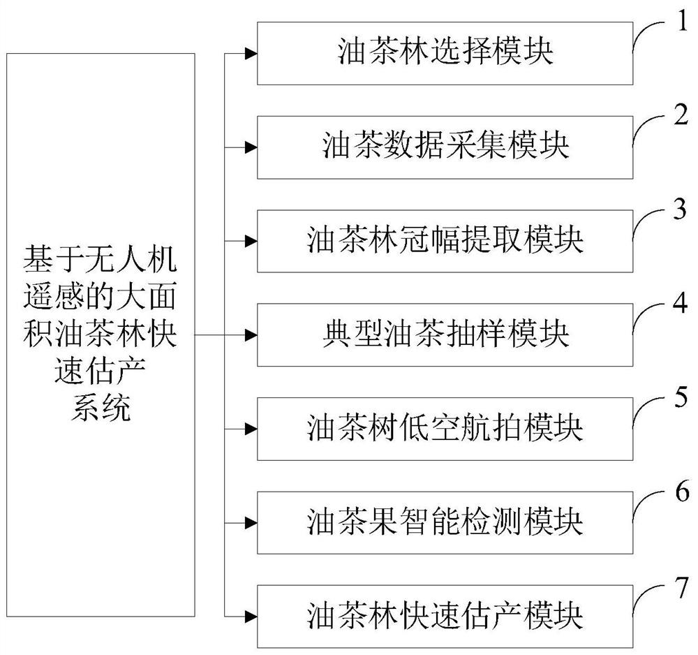 Large-area camellia oleifera forest rapid yield estimation method based on unmanned aerial vehicle remote sensing