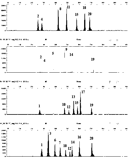 Typing method for multicolor fluorescence composite detection of 20 X-SNP sites