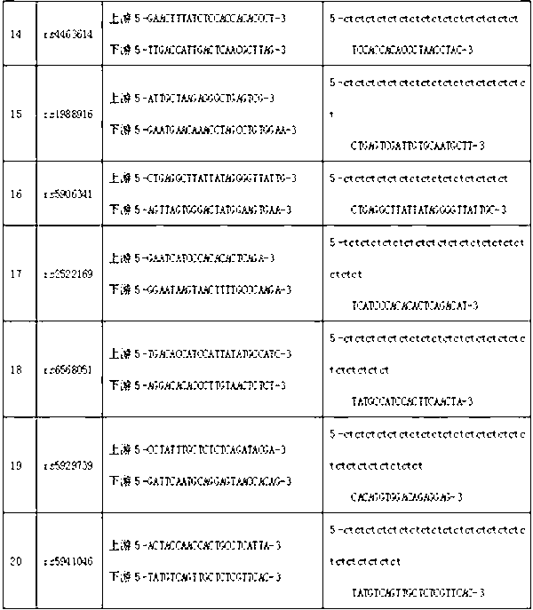 Typing method for multicolor fluorescence composite detection of 20 X-SNP sites