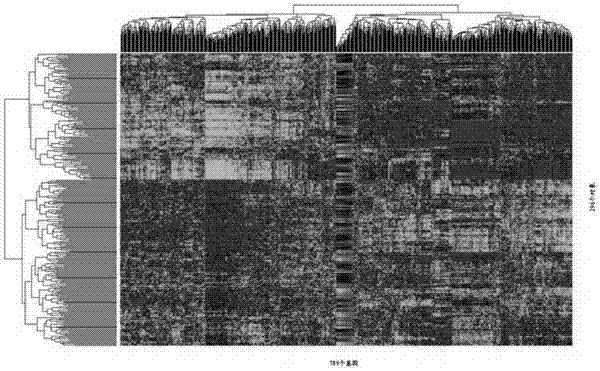 Method for establishing prediction model of complex data