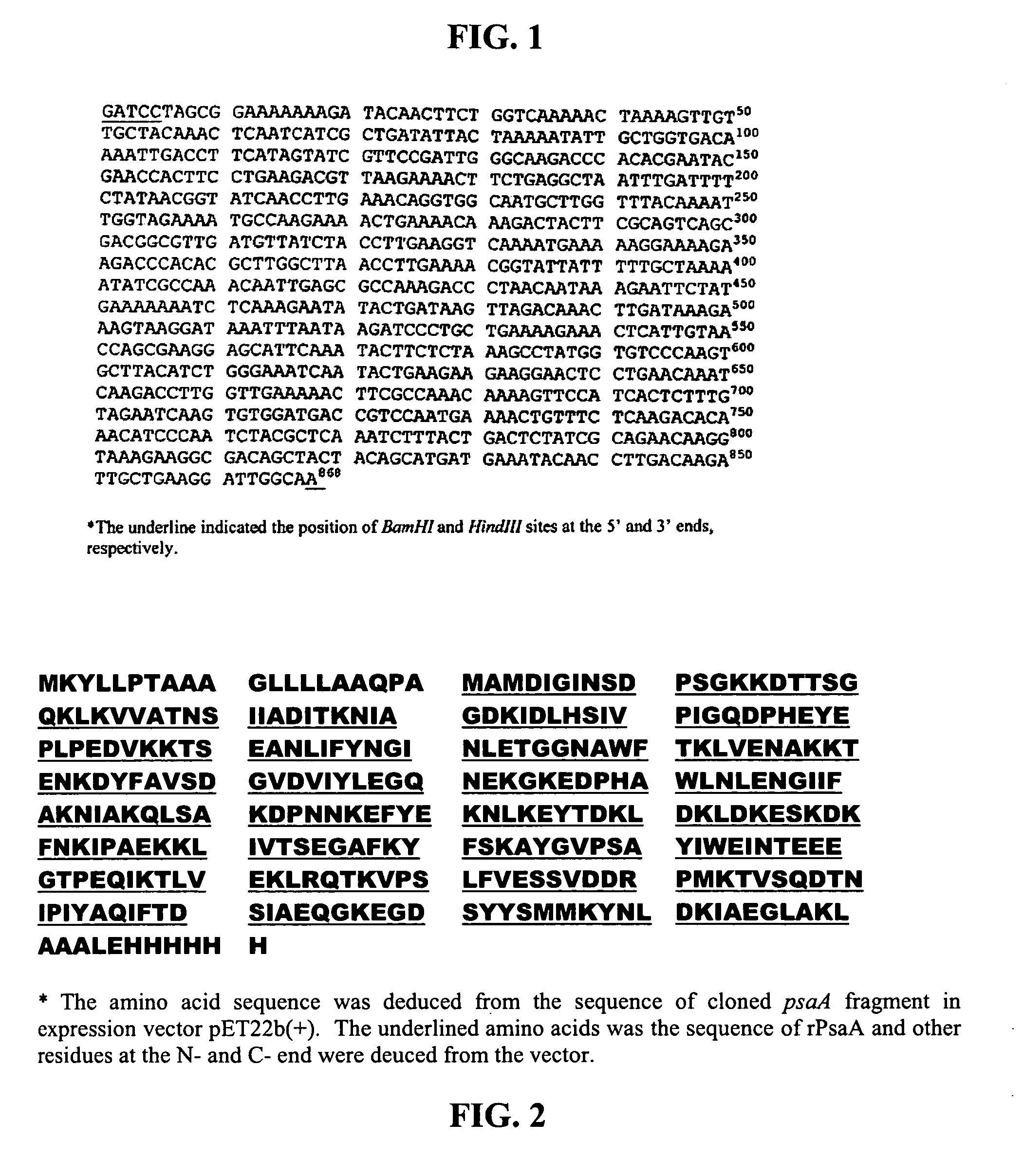 Meningococcal and Pneumococcal Conjugate Vaccine and Method of Using Same