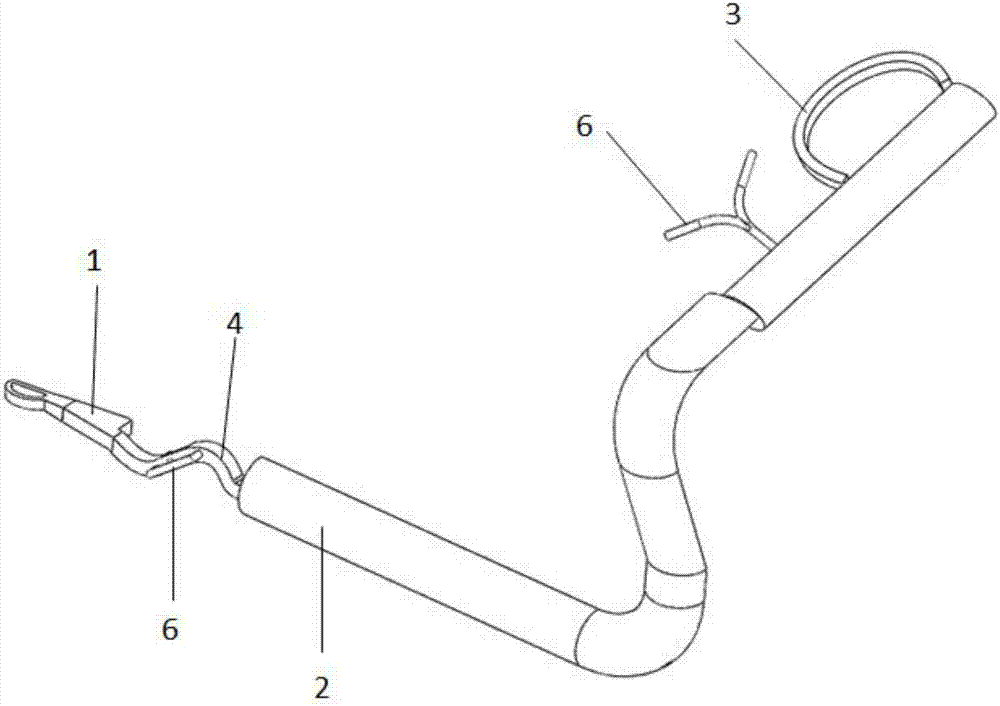 Visible forceps for taking out foreign body in esophagus