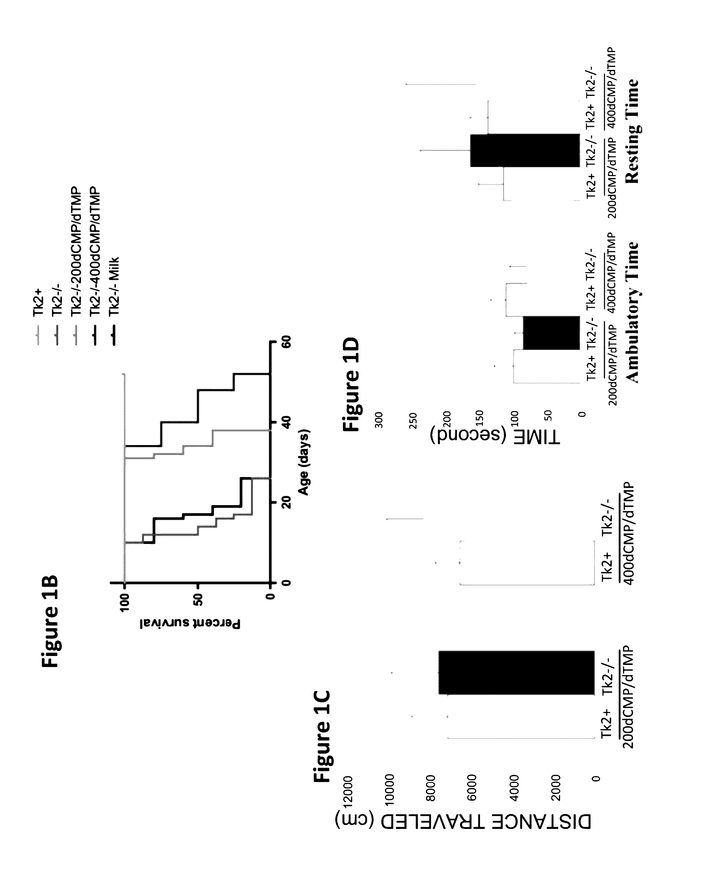 Deoxyribonucleoside monophospate bypass therapy for mitochondrial DNA depletion syndrome