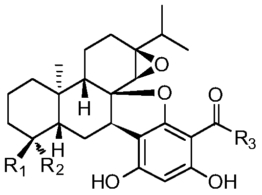 Phloroglucinol and abietane diterpenoids, preparation method and medicinal use thereof