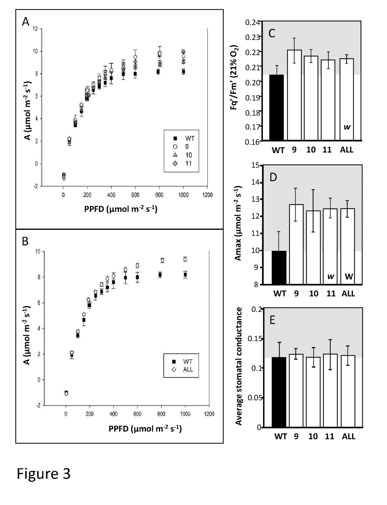 Enhancing Photosynthesis