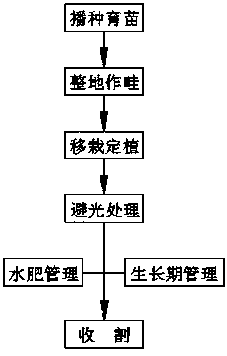 Cultivation method of chives