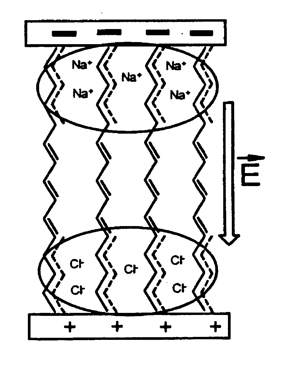 Molecular memory device