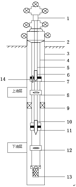 Secondary hanging double-pipe separate injection technology pipe column