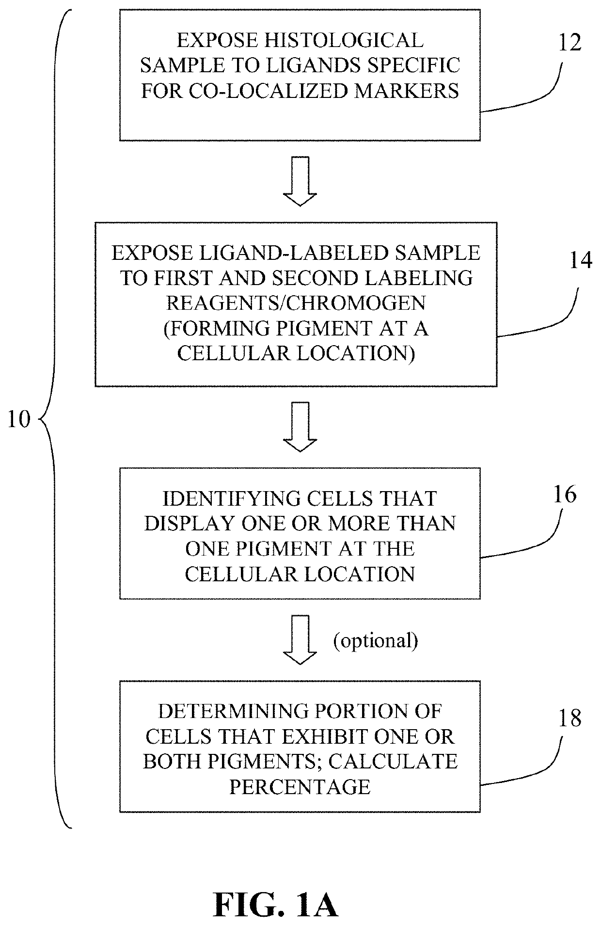 Method for double staining colocalized nuclear-markers in histological lymphoid or bone marrow tissue sample