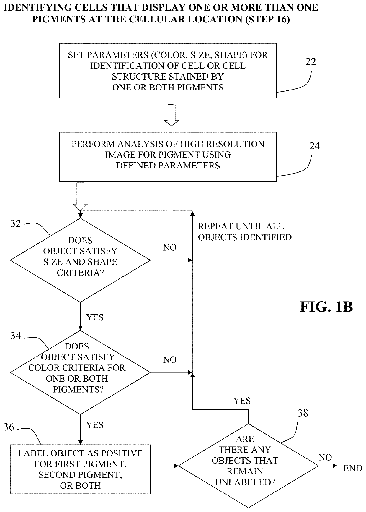 Method for double staining colocalized nuclear-markers in histological lymphoid or bone marrow tissue sample