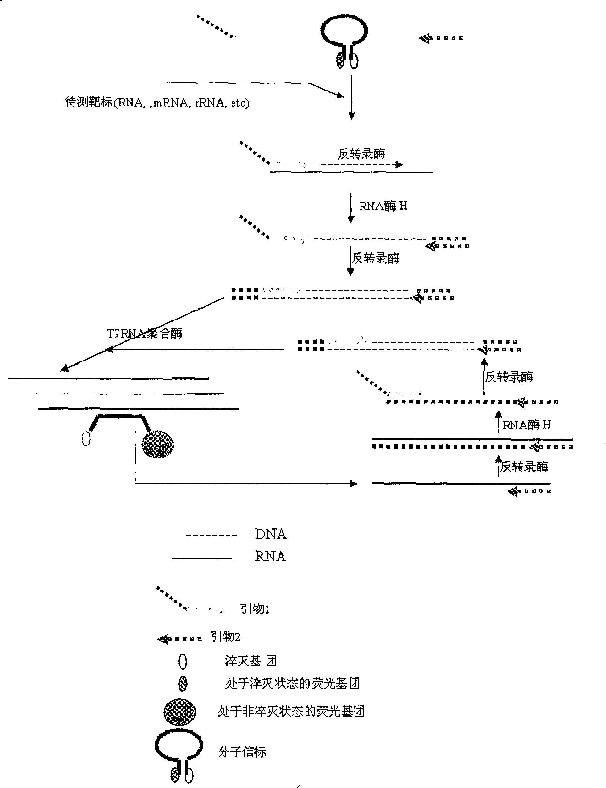 Constant temperature synchronous amplification detecting process for nucleic acid and use thereof