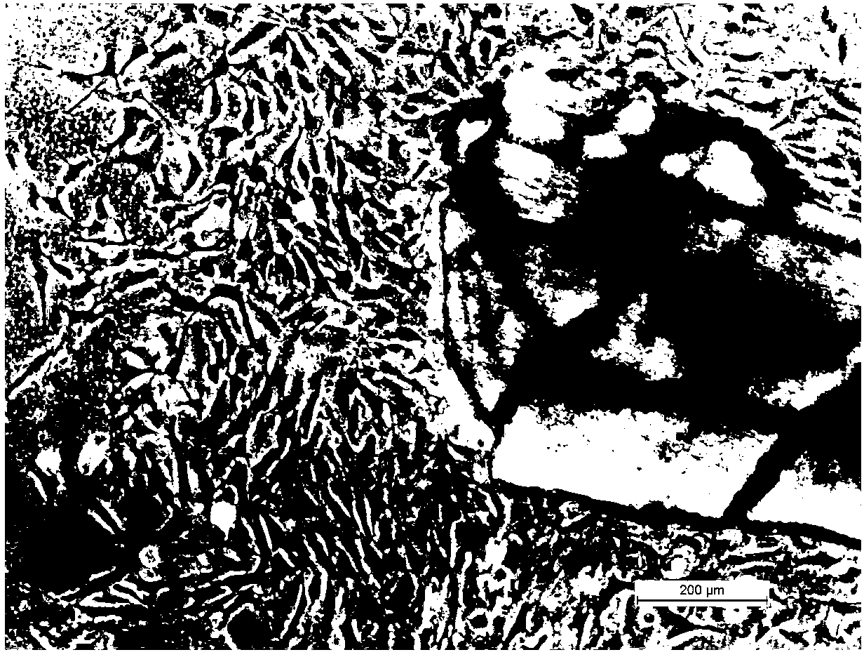 Artificially induced tetraploid crucian cell line and culture method and application thereof