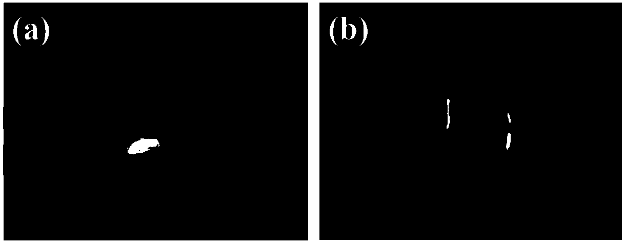 Surface modification method and application of porous material