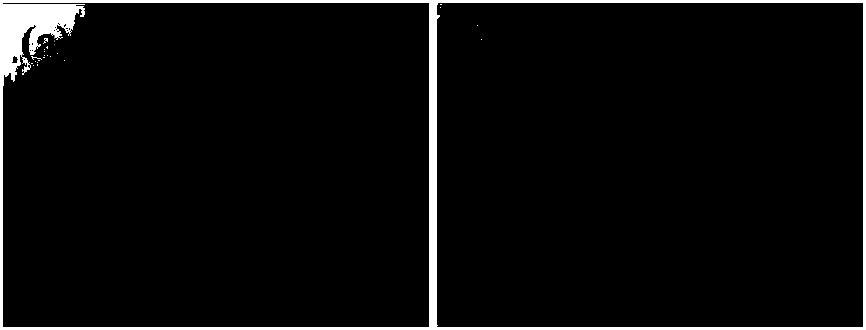 Surface modification method and application of porous material