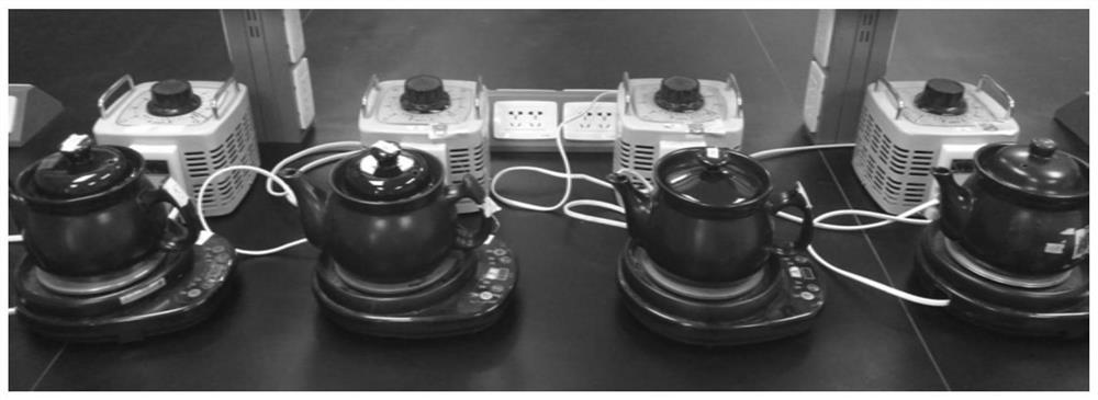 HPLC quality control construction method and application of lung-heat clearing decoction preparation