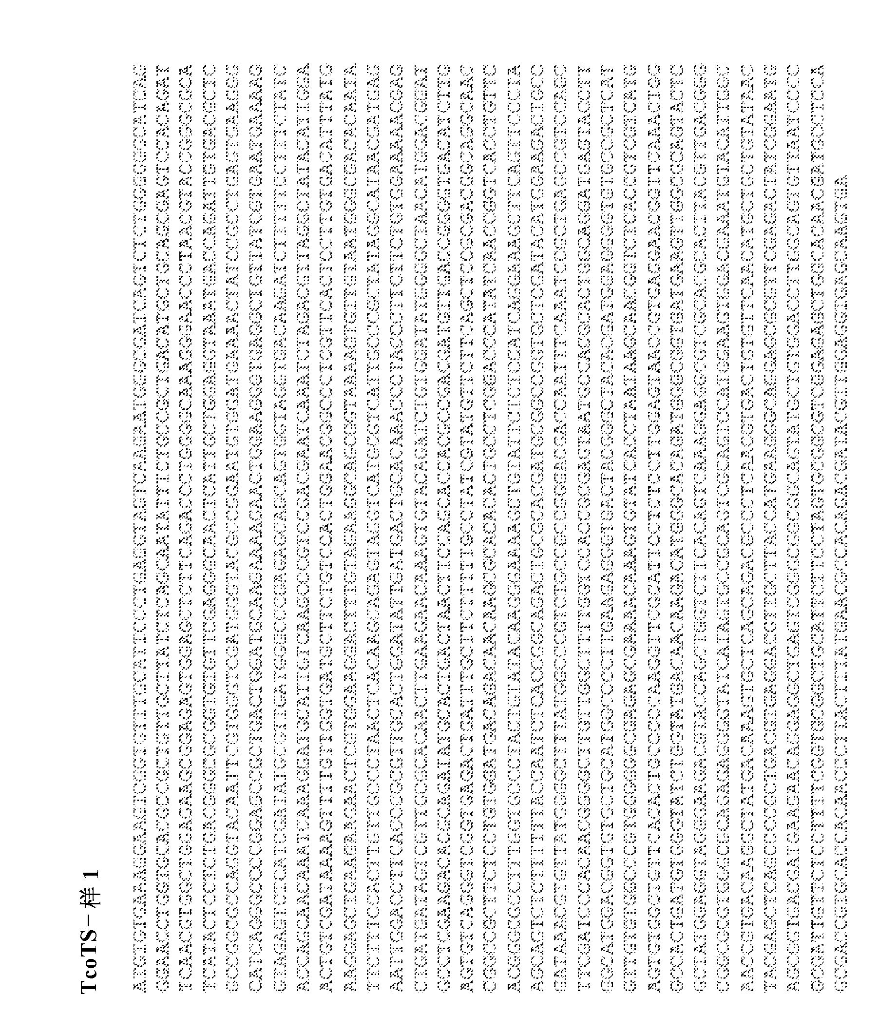 Anti-trypanosomiasis vaccines and diagnostics