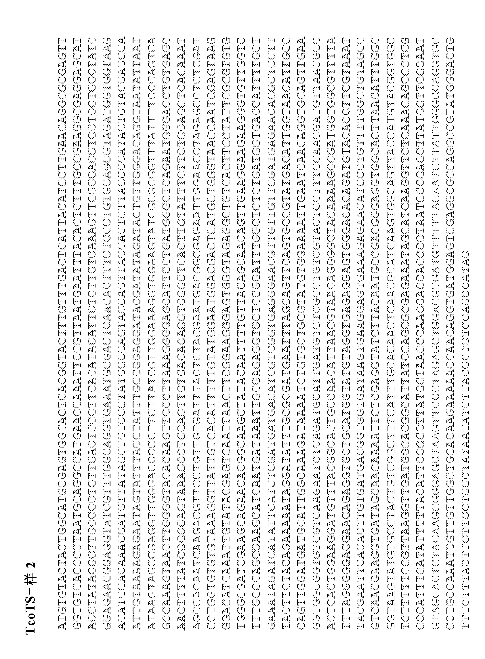 Anti-trypanosomiasis vaccines and diagnostics