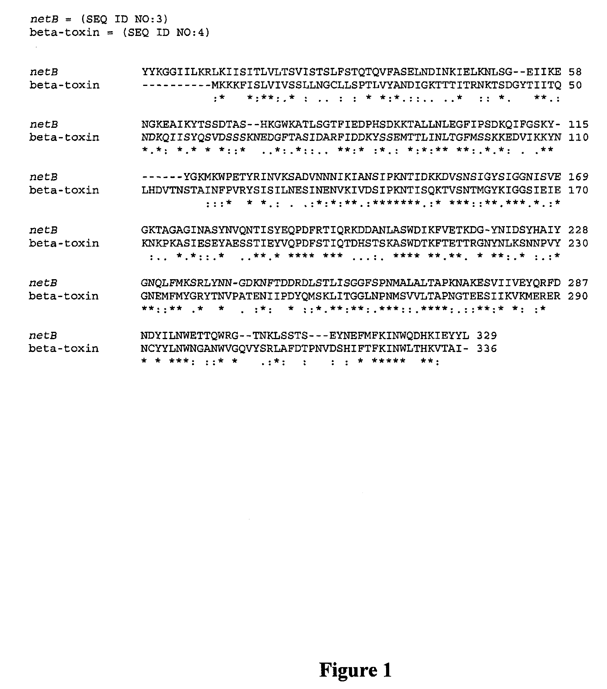 Clostridial toxin NetB