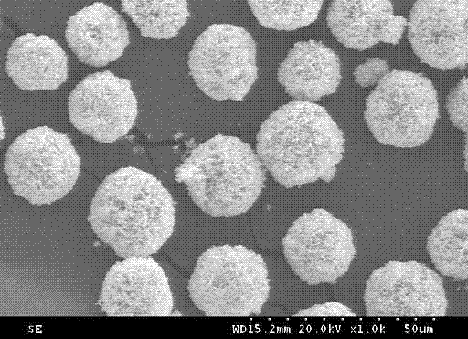 Synthesis method of ball-flower shaped structure ZnO/ZnWO4 photocatalyst